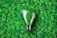 Greening Skills and Qualifications Dialogues: Showcasing the Findings of the Green Skills and Users Engagement in Africa project