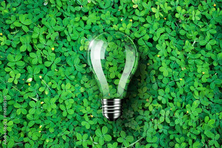 Greening Skills and Qualifications Dialogues: Showcasing the Findings of the Green Skills and Users Engagement in Africa project